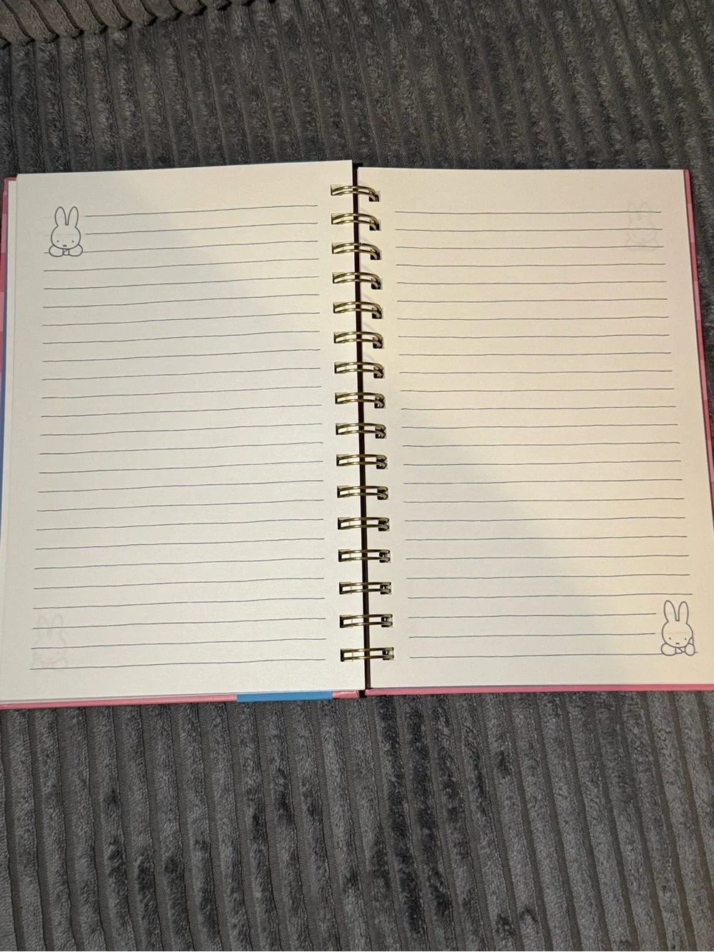 miffy Coral Striped Notebook & Pen Set with Blue Outfit